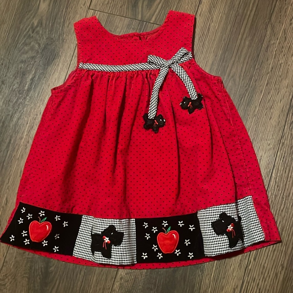 Rare Editions size 18 month dress